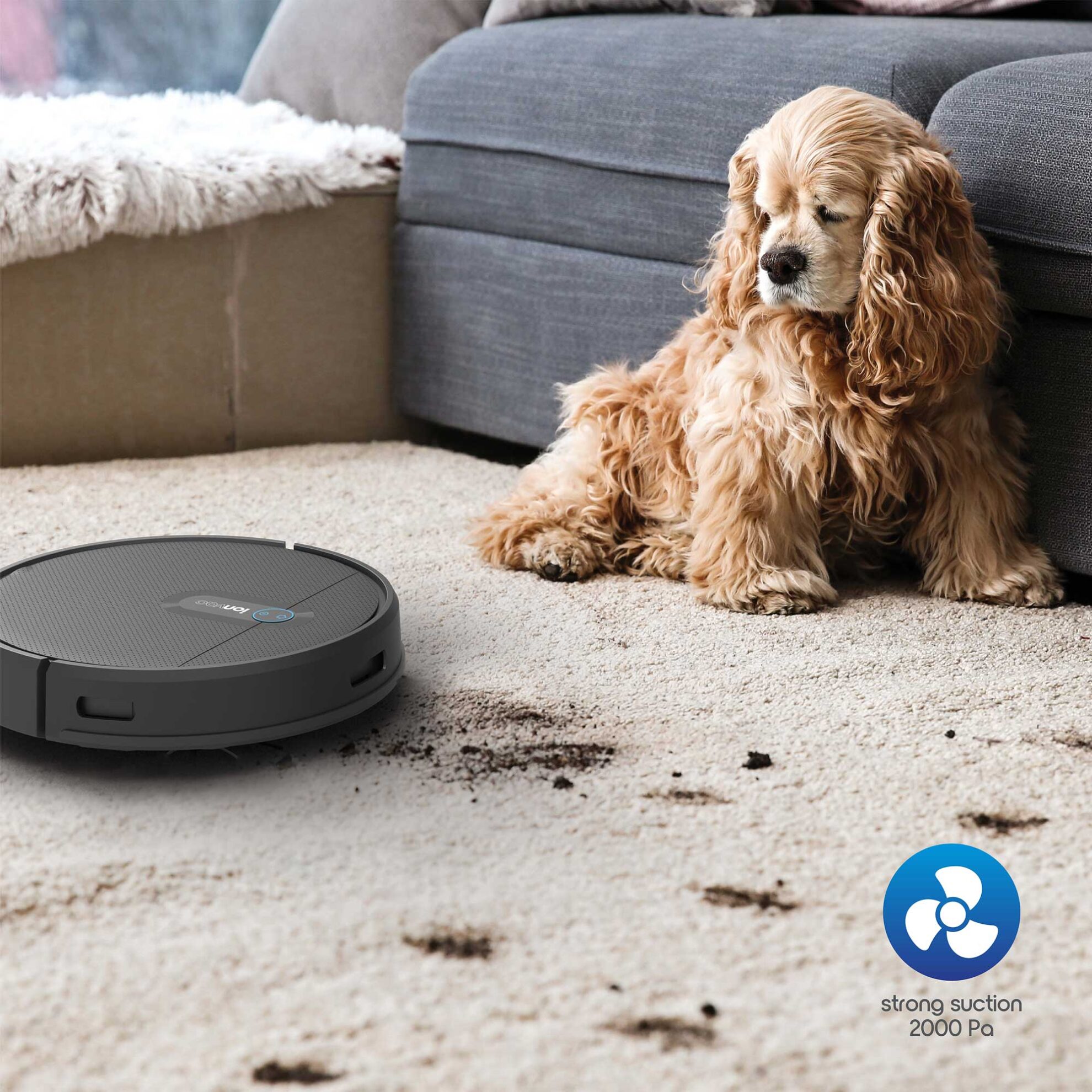 ionvac™ SmartClean V2 Tzumi®