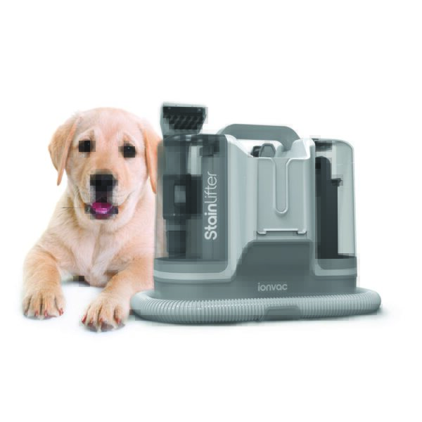 ionVac StainLifter