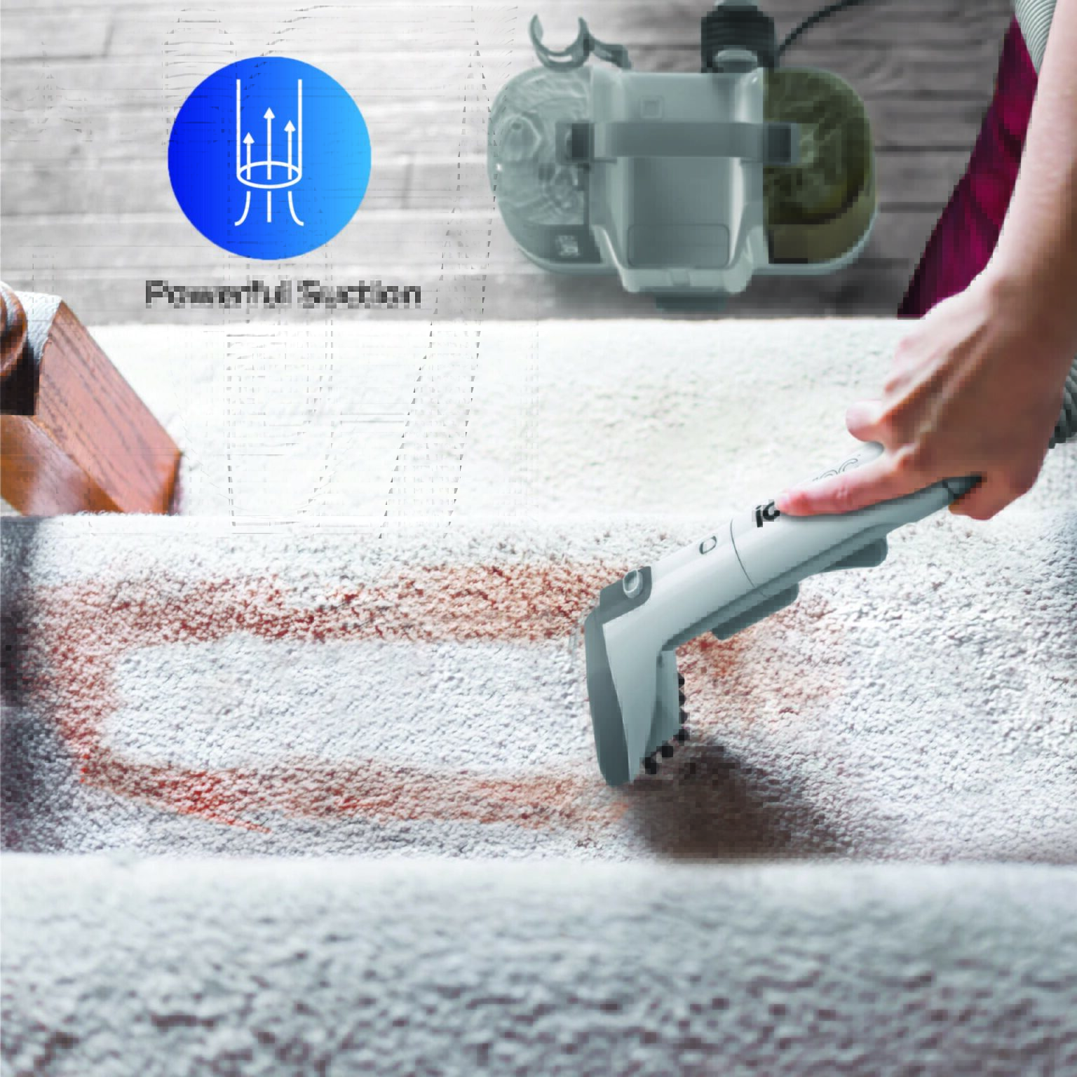 ionvac StainLifter Tzumi®