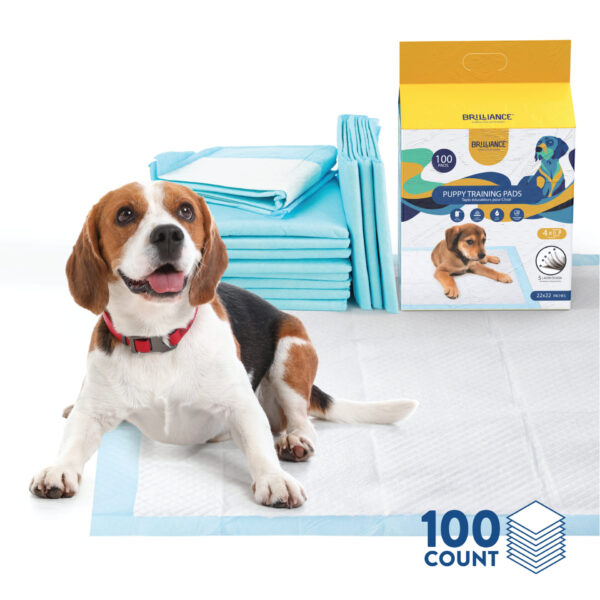 Puppy Training Pads, 100 ct. 22 x 22in