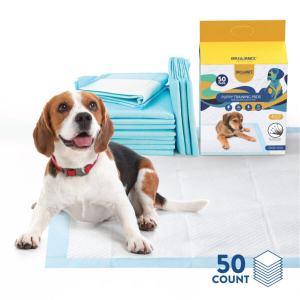 Puppy Training Pads, 50 ct. 22 x 22in