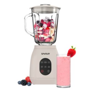 Savour 500W Blender (Gray)